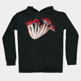 Fly Agaric Hoodie